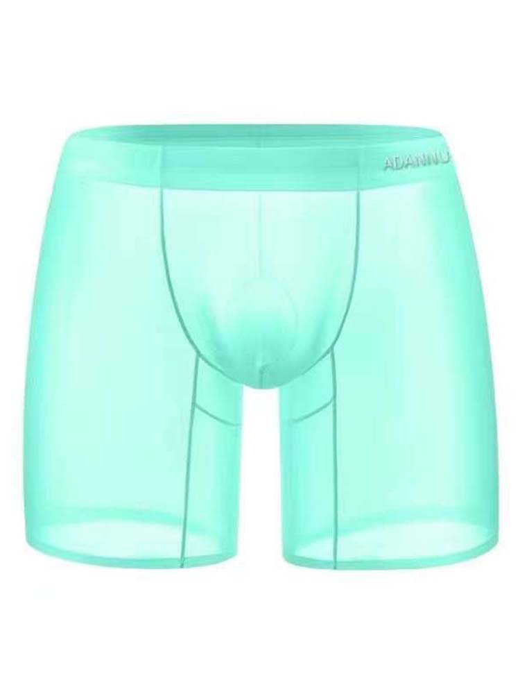 Men's Mesh See Through Low Rise Trunks