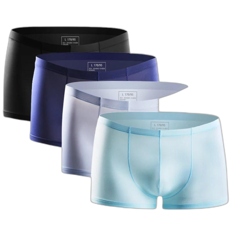 Ice Embrace Transparent Boxer Briefs (4 Pack)