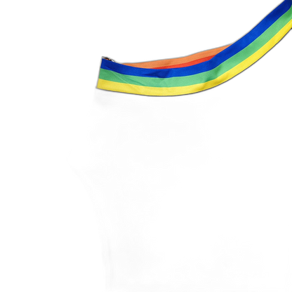 Rainbow Stripe Stretch Thong Bodysuit