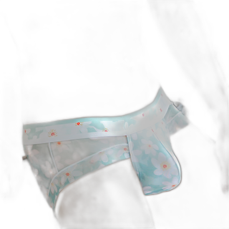 4 Pack Men’s Flower Print Pouch Briefs