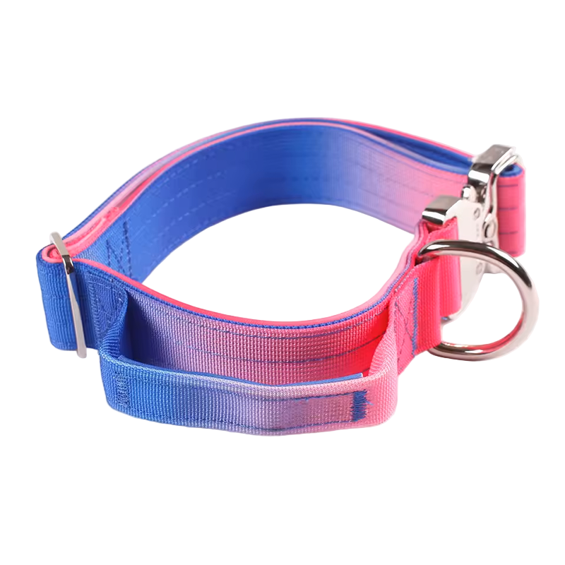 Heavy Duty Gradient Collar Blue/Pink