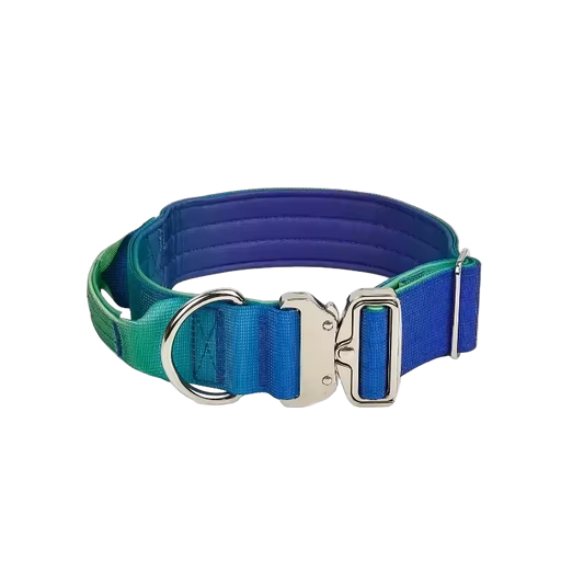 Heavy Duty Gradient Collar Blue/Green
