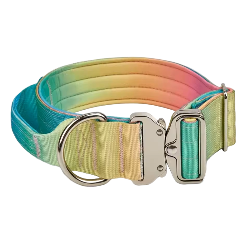 Heavy Duty Gradient Collar Green/Pink