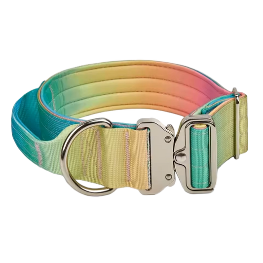 Heavy Duty Gradient Collar Green/Pink