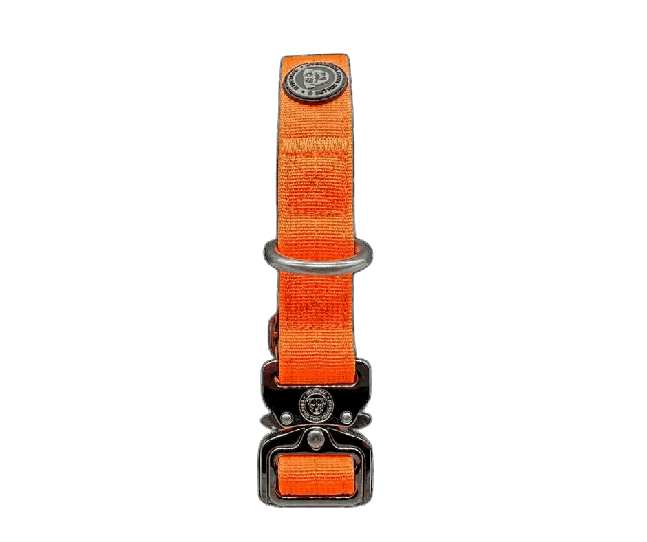 2.5cm Tactical™ Collar Orange