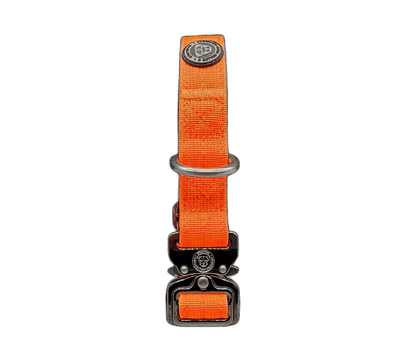 2.5cm Tactical™ Collar Orange