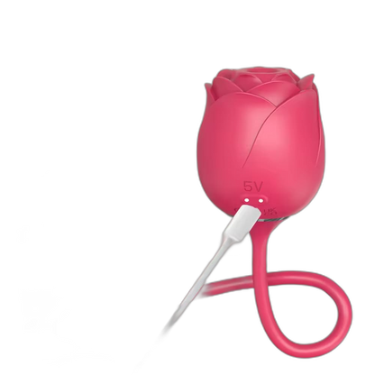 Immortal Flower - Rose Glow 2-in-1 Clitoral Suction Stimulator with Egg Vibrator
