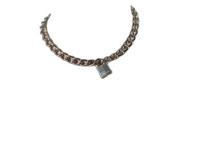 ruff GEAR Boxer Chain 3.6mm with 20mm Master Lock