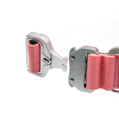 4cm Tactical Collar Pink