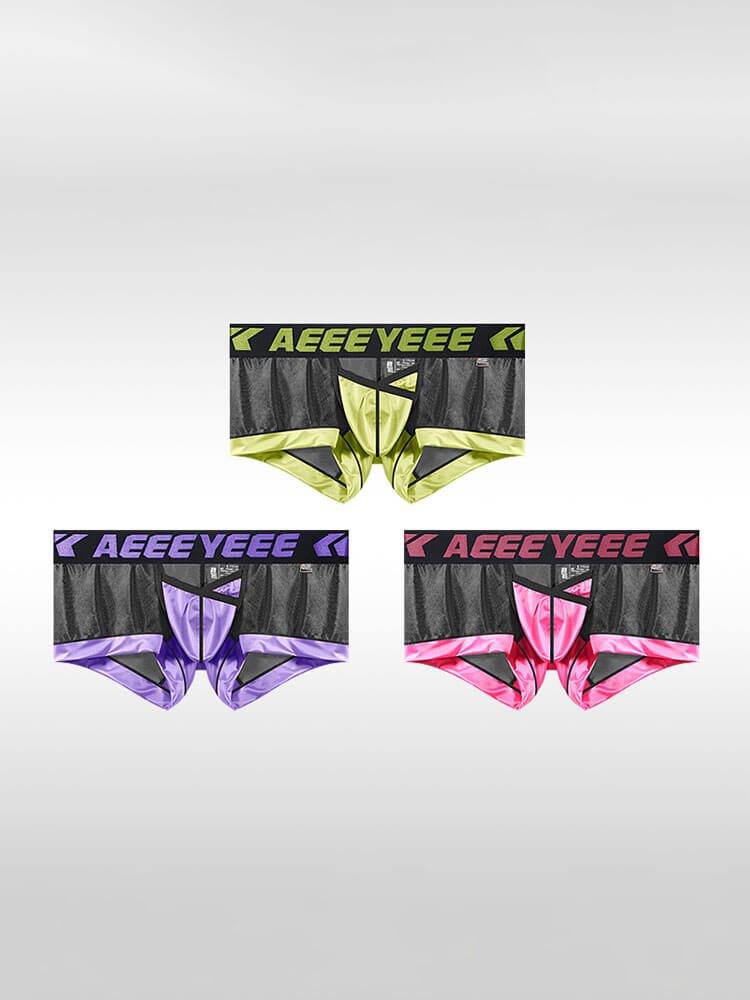  Men's Sexy Breathable Mesh Paneling Boxer Briefs