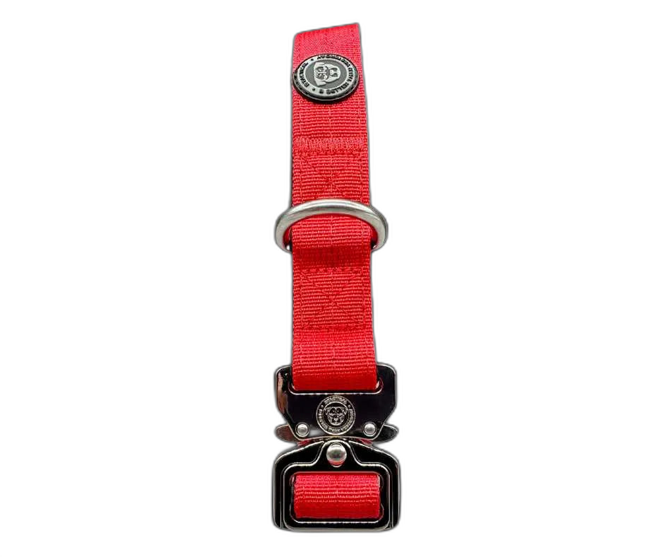 2.5cm Tactical Collar Red