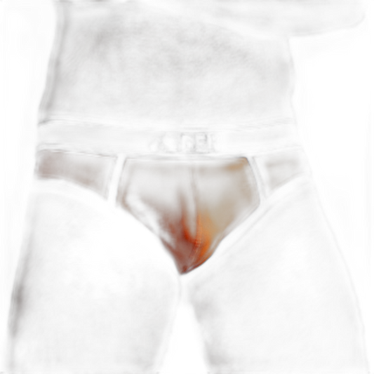 DEN CORE Brief - Orange