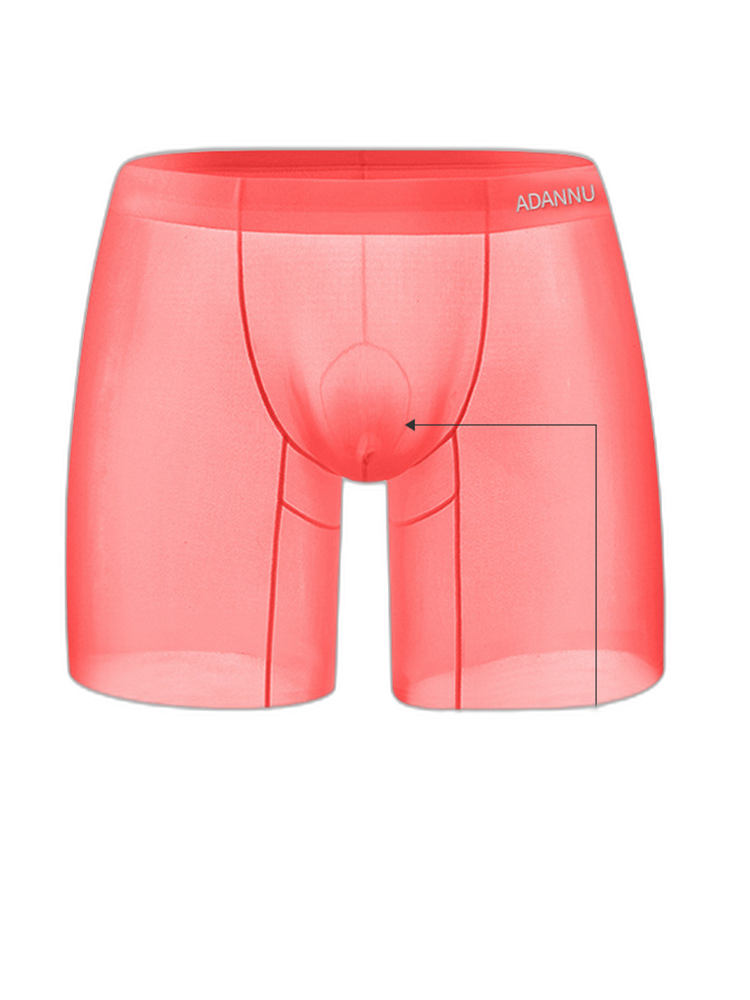 Men's Ultra-Thin Quick-Dry Sheer Boxer Briefs