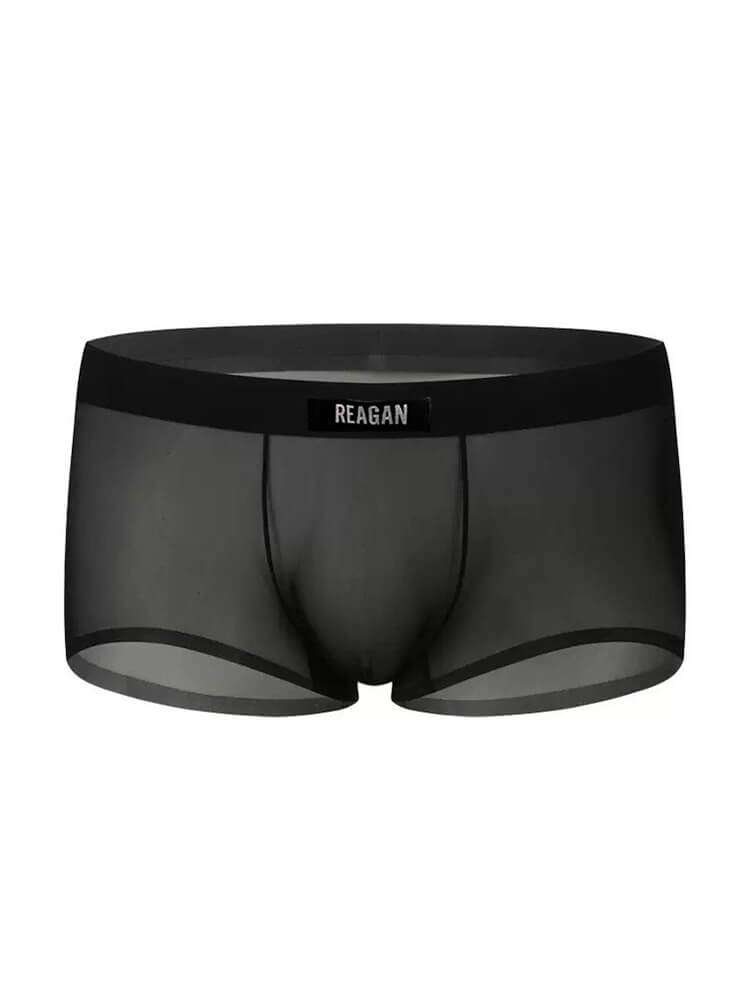 Men's Sexy See-Through Solid Color Boxer Briefs