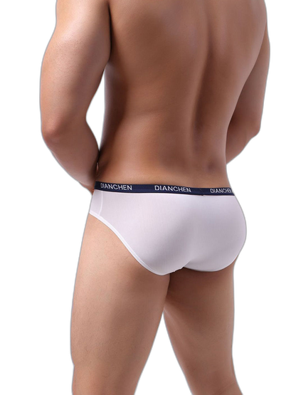 4 Pack Men's Ultra-Soft Ice Silk Briefs