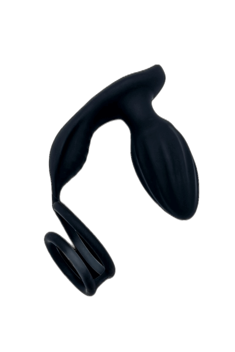 Double Ring Rotary Anal Plug