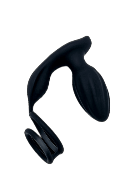Double Ring Rotary Anal Plug