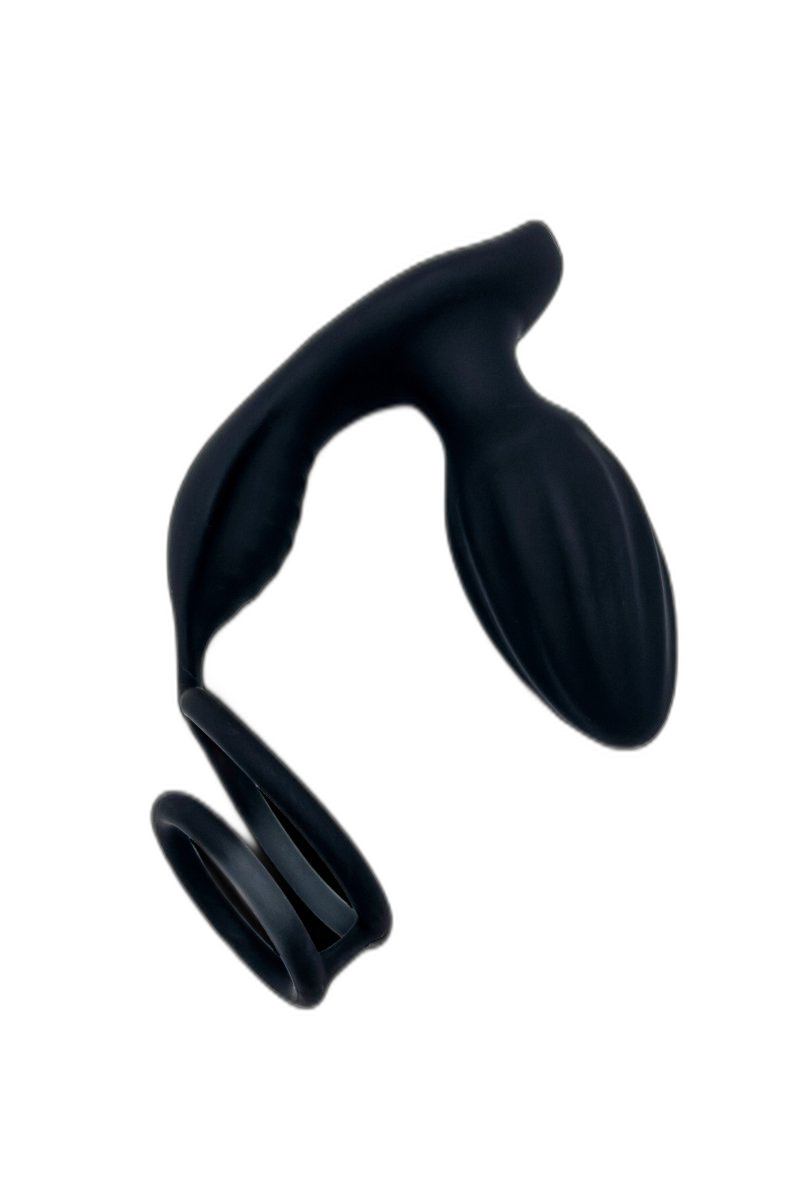 Double Ring Rotary Anal Plug