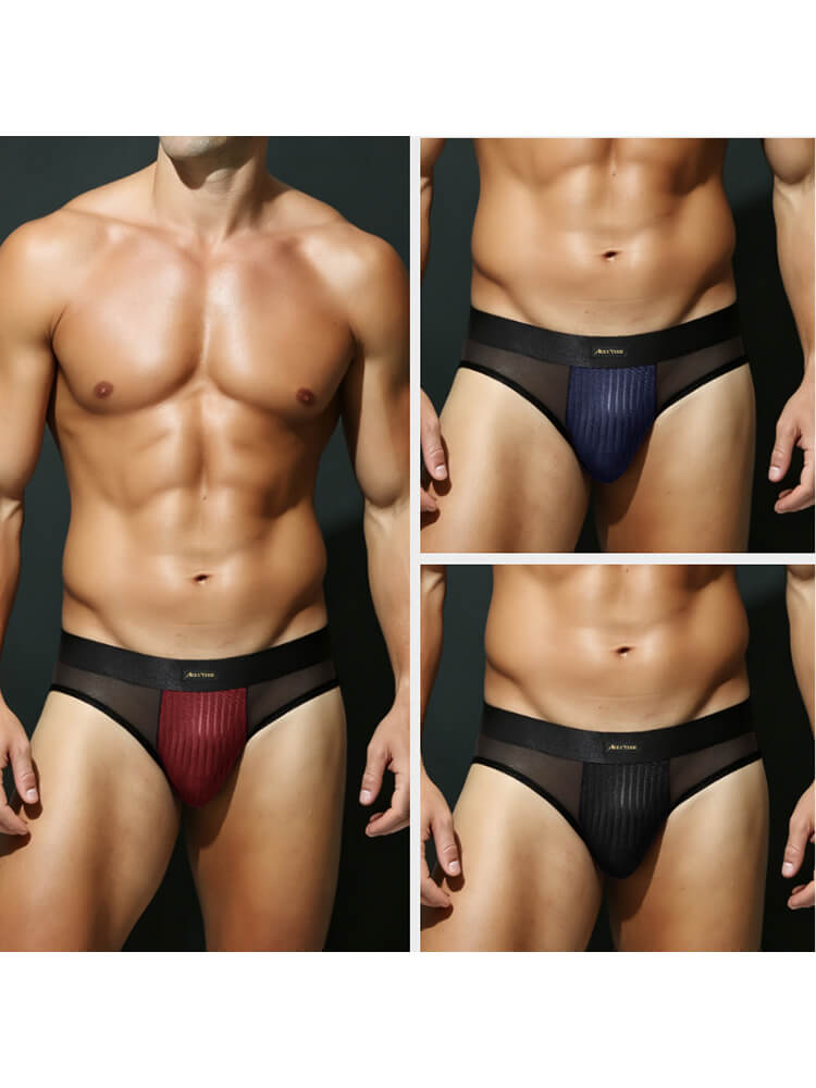 Men's Low-Rise Sexy Mesh-Paneled Breathable Briefs