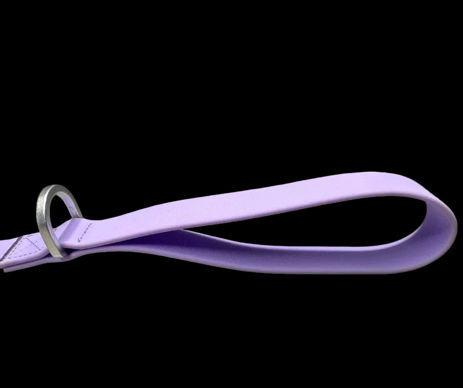 Tactical Carabiner Clip Lead Purple
