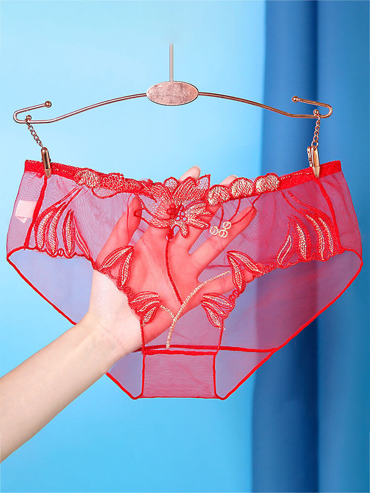 Sexy Lace Transparent Mesh Seamless Briefs