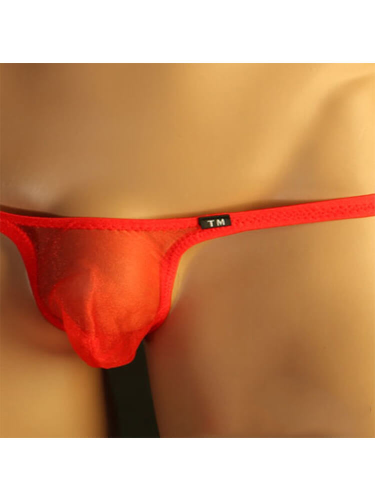 Men's Sexy Fashion Transparent Mesh Thong