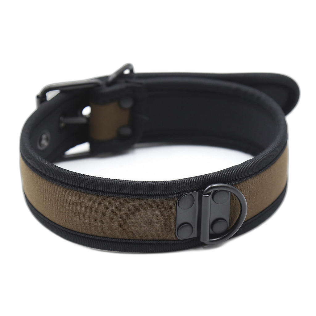 Coloured Adjustable Neck Collar