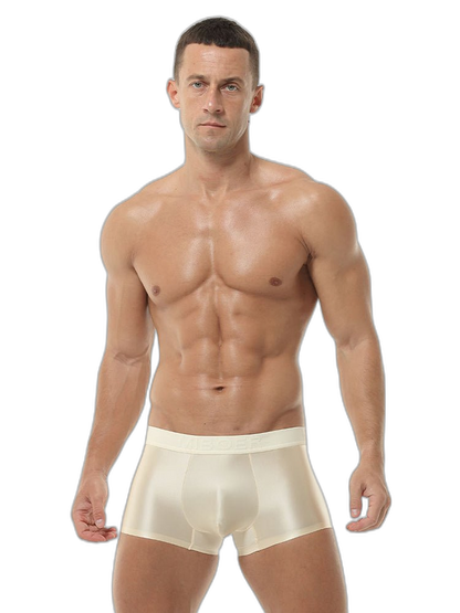 2 Pack Men's Premium Ice Silk Ultra-Soft Lightweight & Airy Trunks