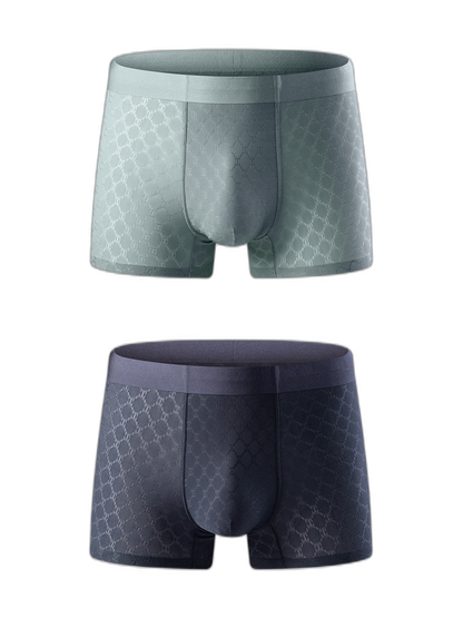 2 Pack Men's Breathable Quick-drying Thin Trunks