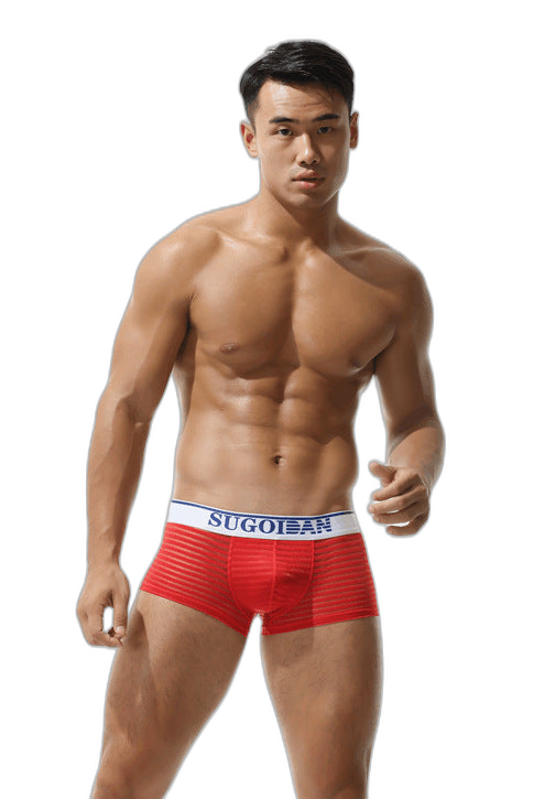 Men's Sexy Transparent Striped Trunks
