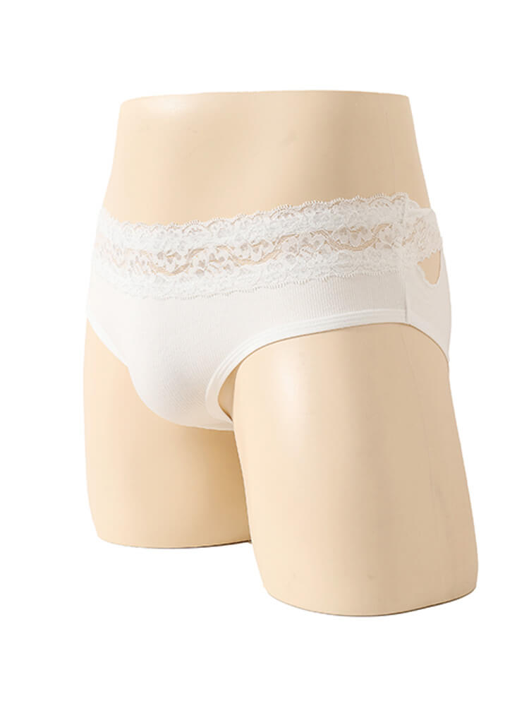 Men's Lace Trim Sheer Sexy Solid Color Briefs