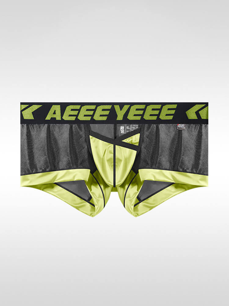  Men's Sexy Breathable Mesh Paneling Boxer Briefs