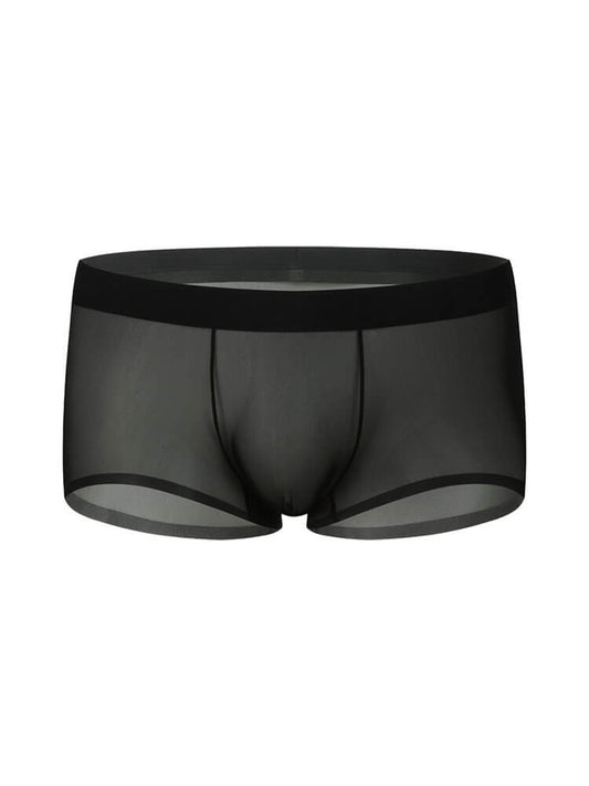 Men's Sheer Ice Silk Thin Pouch Boxer Briefs