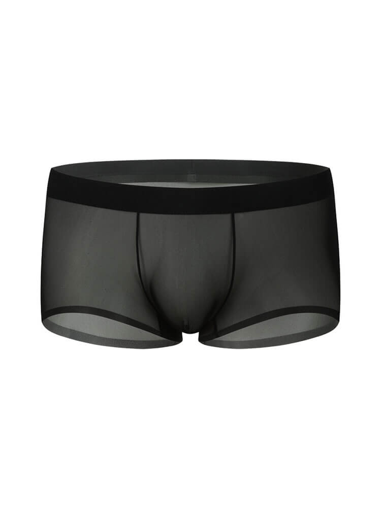 Men's Sheer Ice Silk Thin Pouch Boxer Briefs