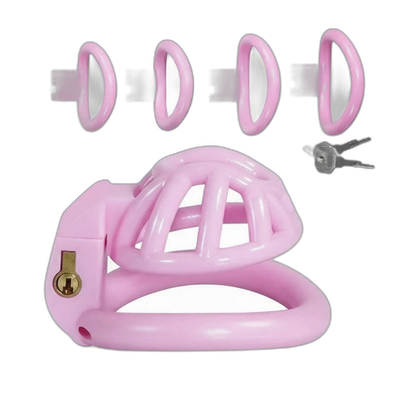 PushTech Chastity Cage With 4 Ring Sizes