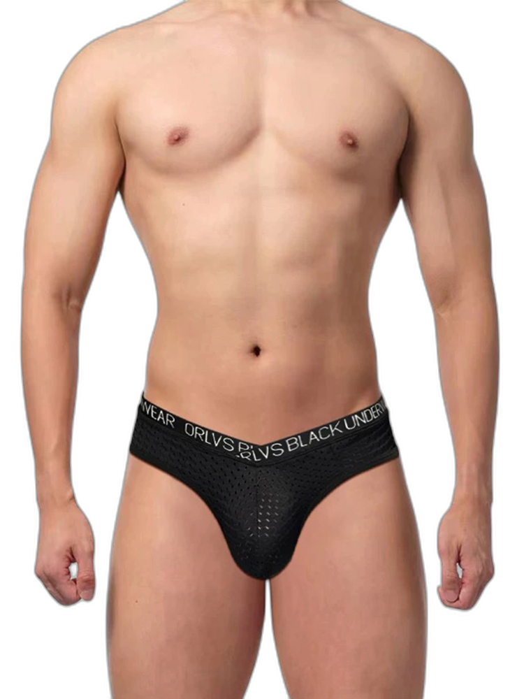 2 Pack Men's Sexy V-shape Waistband Mesh Bikinis