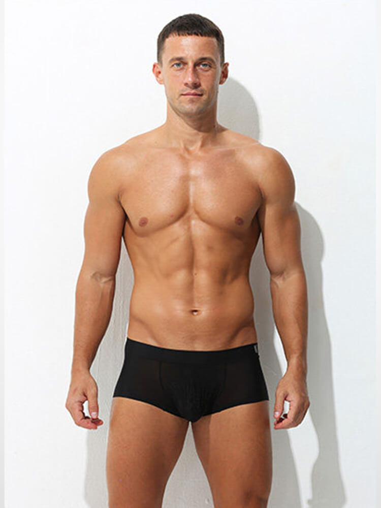 Men's Sexy Ultra-Thin Mesh Ice Silk Boxer Briefs