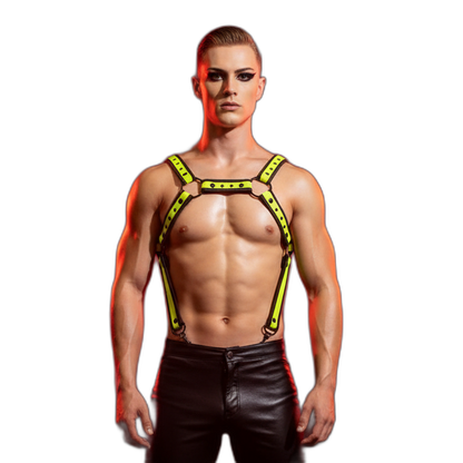 Fusion Shoulder Strap Metallic Buckle Harness