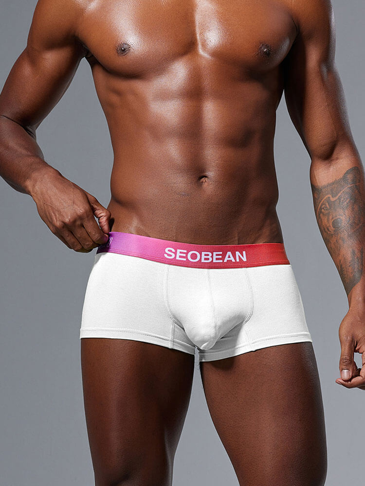 Men's Gradient Waistband U-Pouch Sexy Trunks