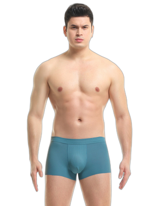 4 Pack Men's Ice Silk Seamless Trunks Underwear