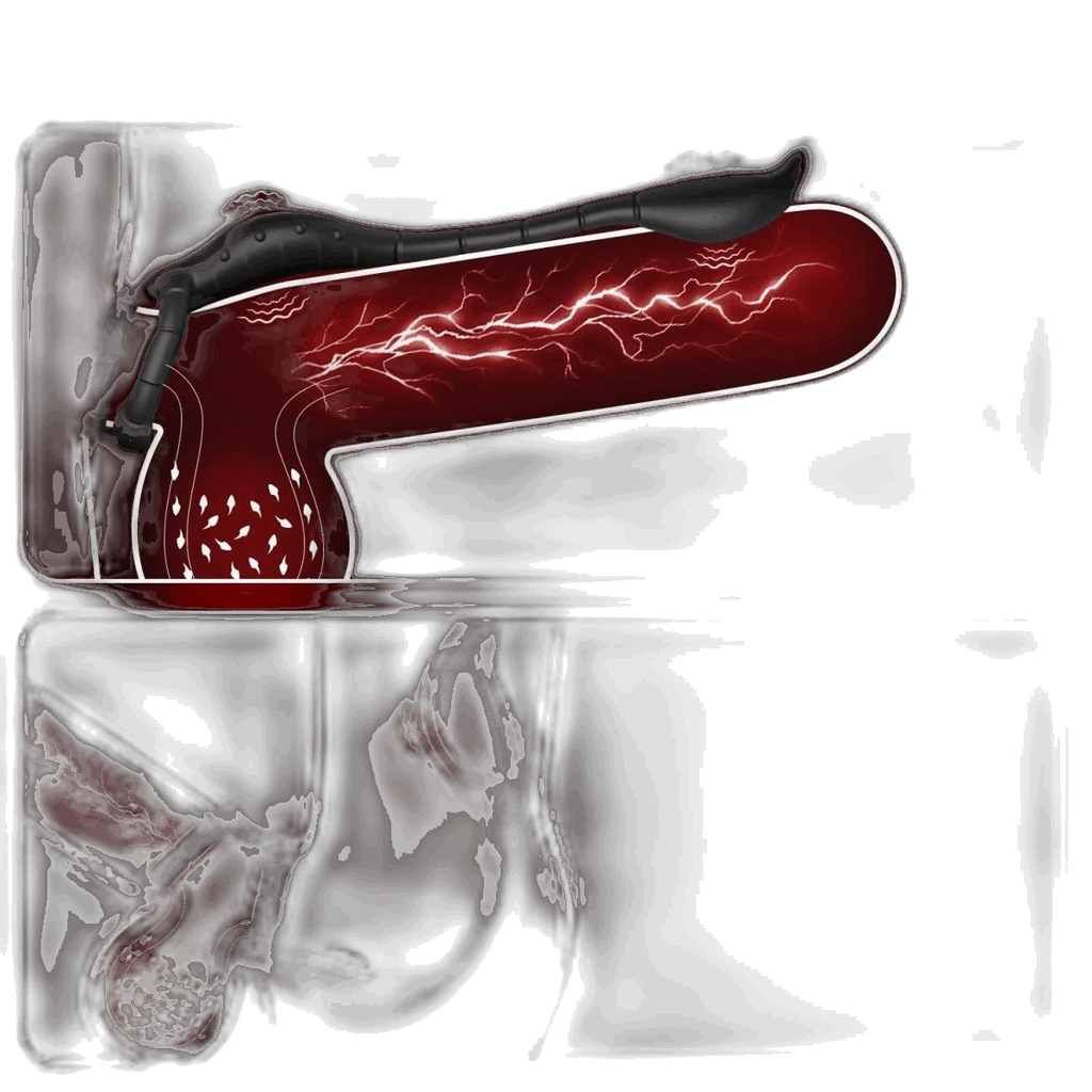 Prostate Massager Cock Ring
