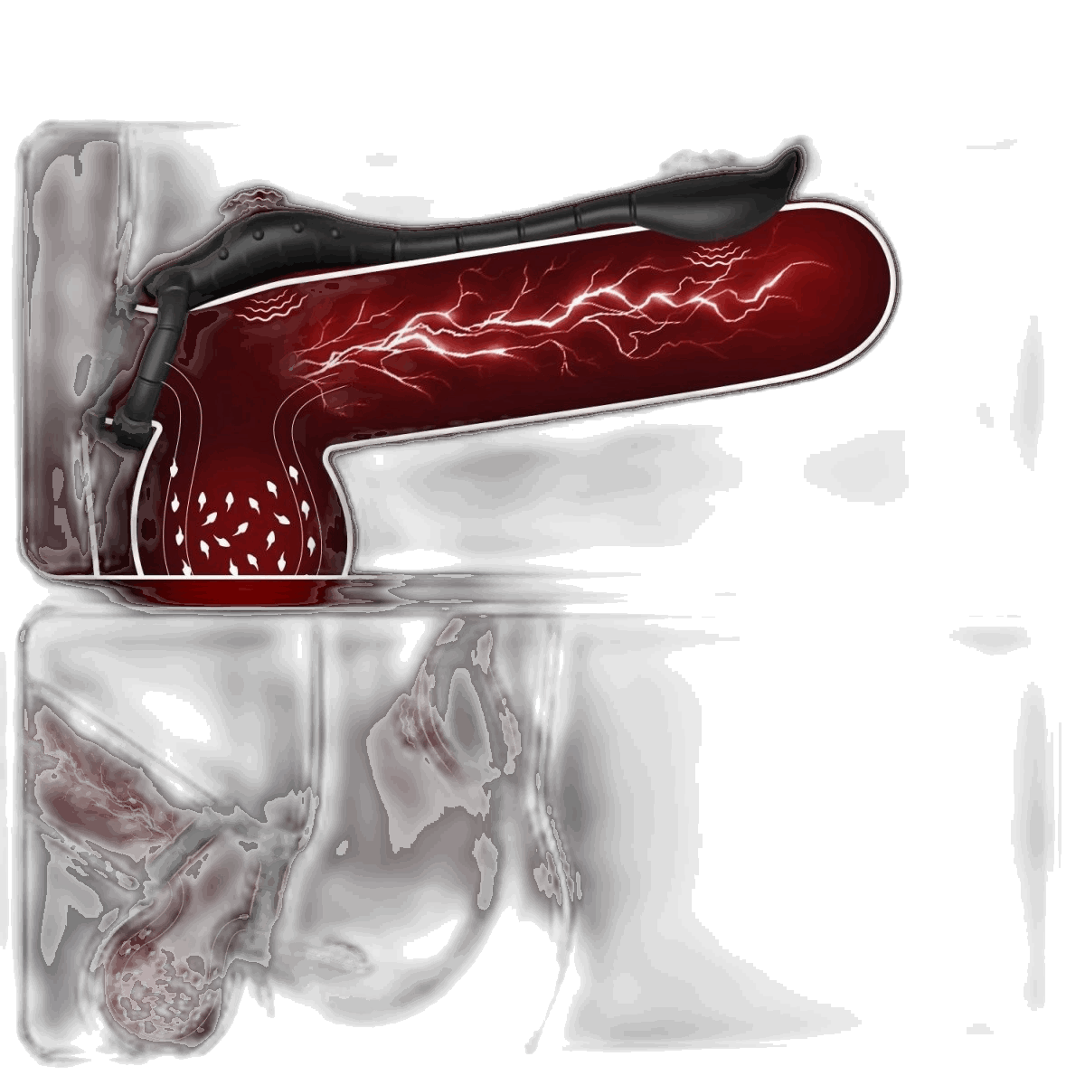 Prostate Massager Cock Ring