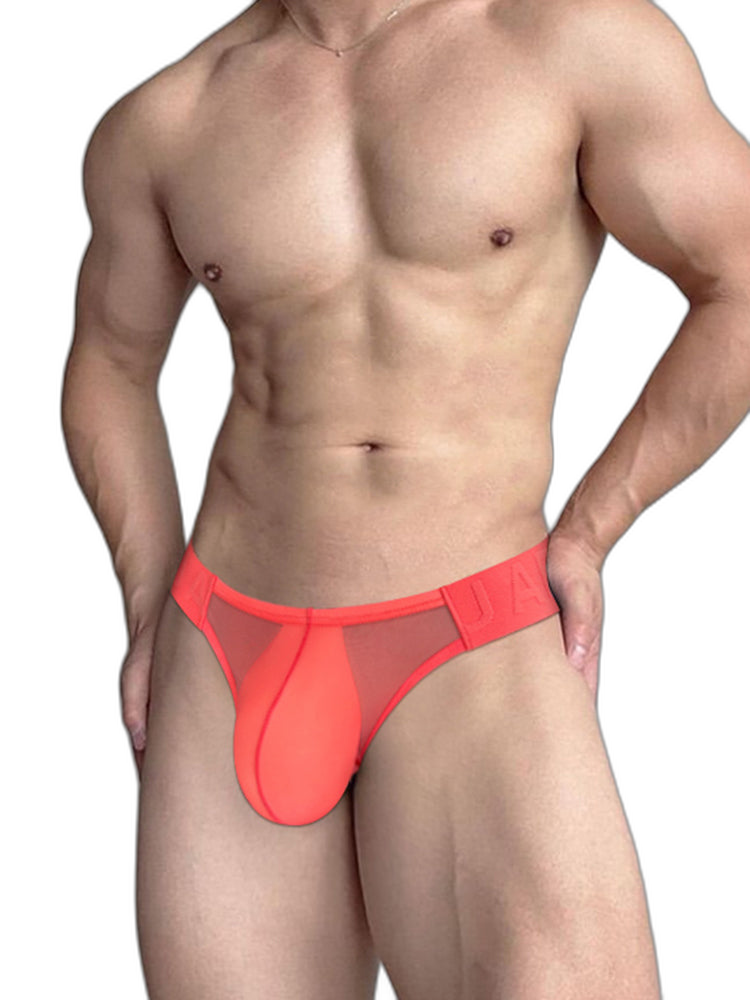 2 Pack Ultra-Thin Men's Breathable Semi-Transparent Sexy Bikini