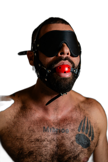 ruff GEAR Rein Harness with Breathable Ball Gag