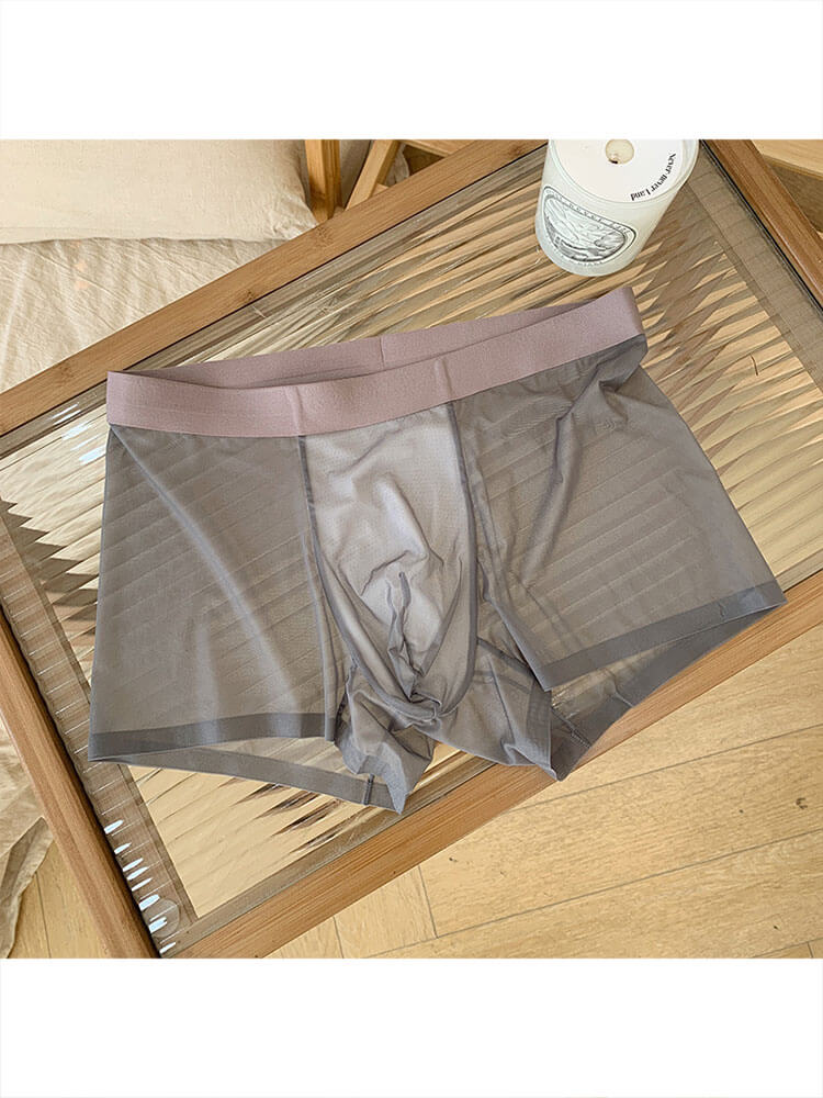 Men's Ultra-Thin Sheer Ice Silk Boxer Briefs