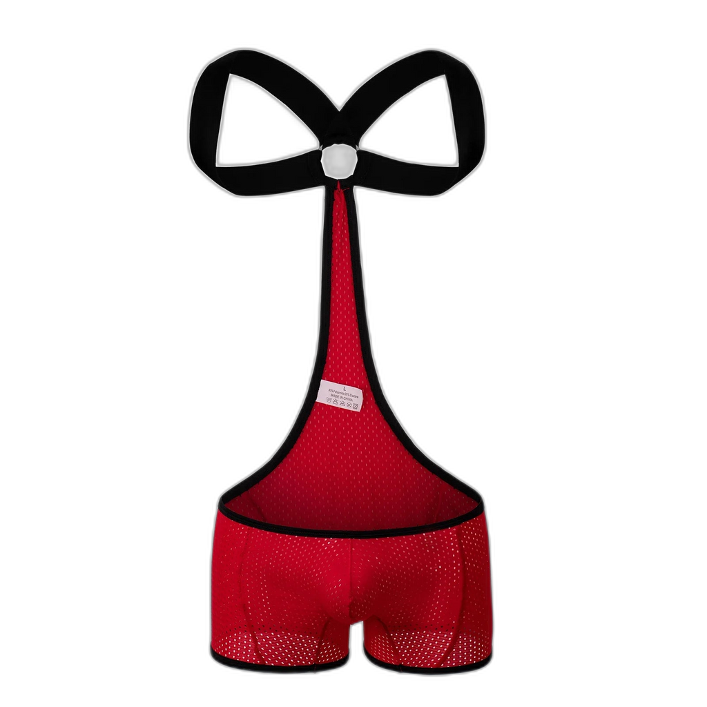 Kink Wrestling Dream Mesh Bodysuit