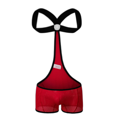 Kink Wrestling Dream Mesh Bodysuit