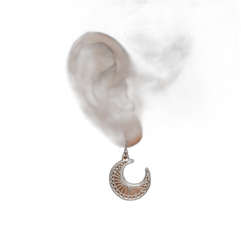 Occult Moon Earrings