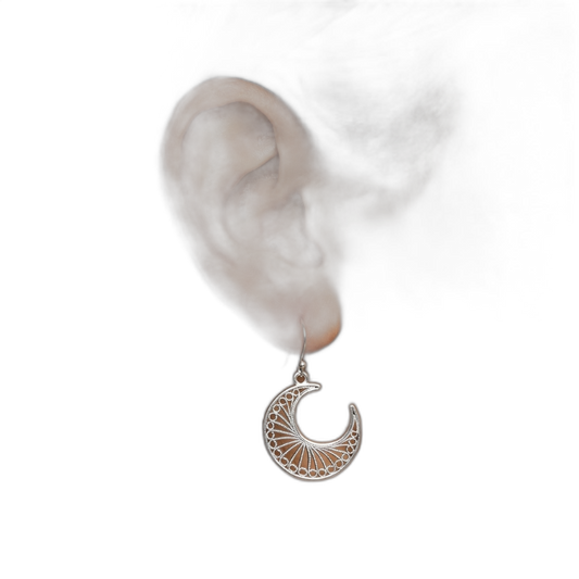 Occult Moon Earrings