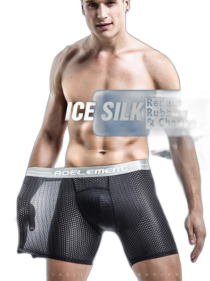 2 Pack Mesh Ice Silk Moisture Wicking Sport Boxer Underwear